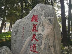 -武汉大学-樱园