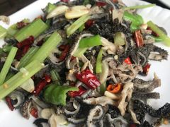 爆炒羊肚-古萧汪家羊肉馆(淮北四马路店)