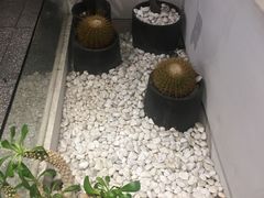 -莓超疯