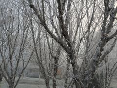 -南开大学滨海学院