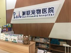 -派联宠物医院·24h·CT·异宠