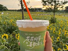 -苏州湾体育公园