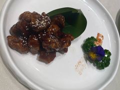 -蝶园·装修中(BFC外滩金融中心店)