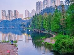 -重庆彩云湖湿地公园