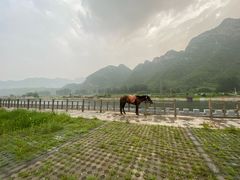 -野三坡清泉山风景区