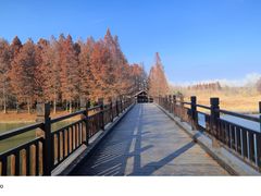 -溱湖国家湿地公园