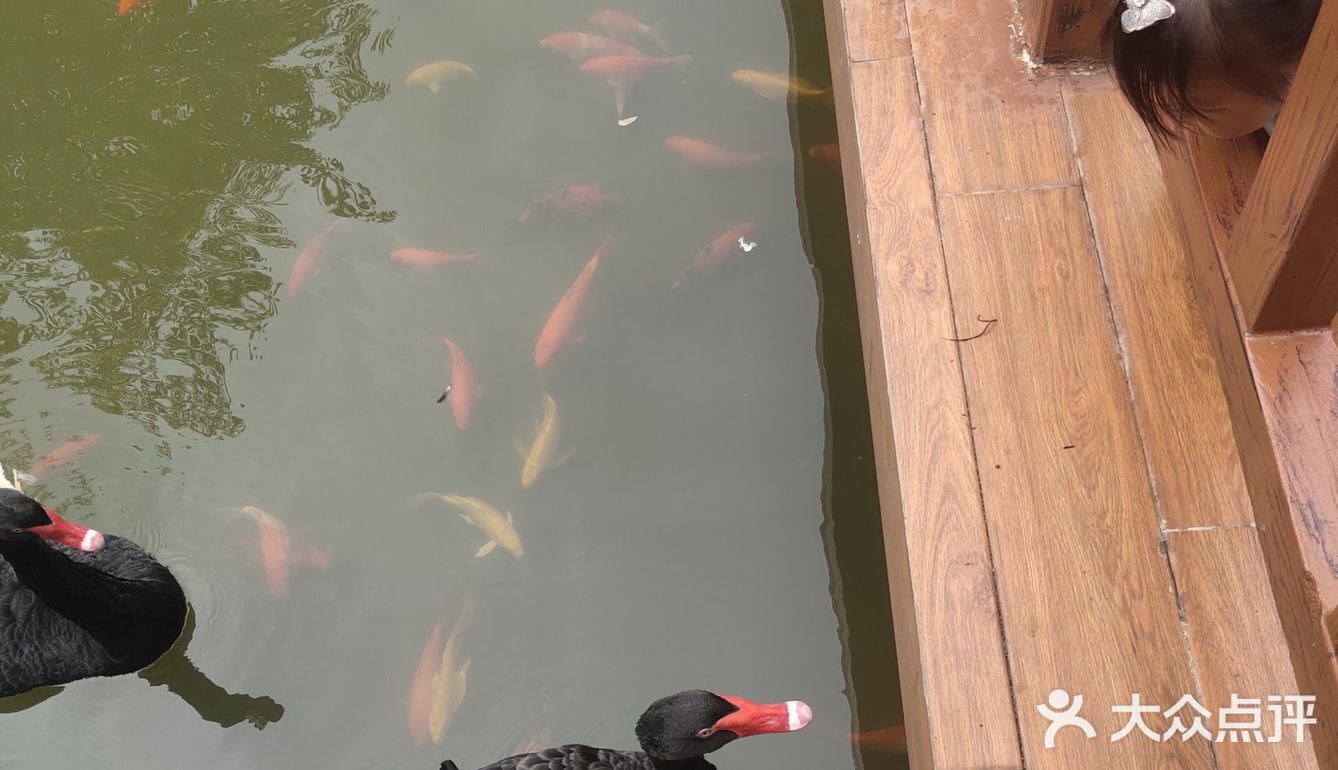 喜欢户外的朋友可以来这里