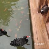喜欢户外的朋友可以来这里