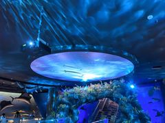 -陕西自然博物馆