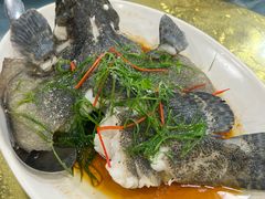 -明记海鲜大排档(巽寮湾店)