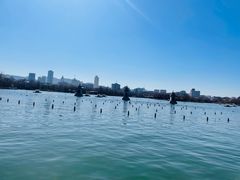 -济南大明湖景区