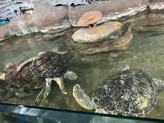 -厦门海底世界