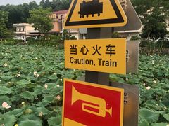 -红山村