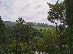 -游子山休闲旅游区