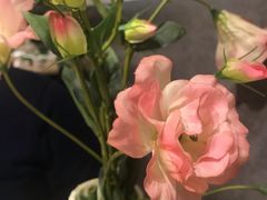 -遇见小厨·北京烤鸭·江湖菜·川菜(广福桥店)
