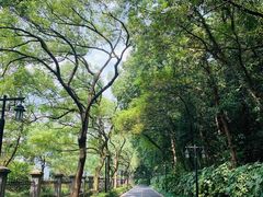 -杭州花家山庄