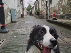 -八珍手工水饺·妈妈的爱(传芳巷店)