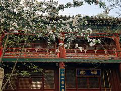 -潭柘寺景区
