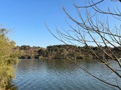 -南京市无想山景区