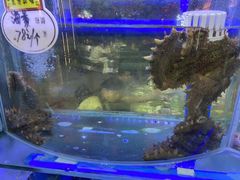 -晶渔坊·海鲜私房菜(东夷小镇店)