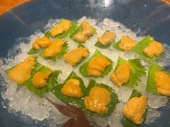 -月龍吟(朝龙汇店)