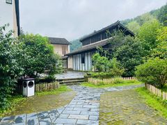 -中国茶叶博物馆(双峰馆区)