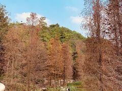 -云溪植物园