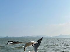 -深圳湾公园(南山区)
