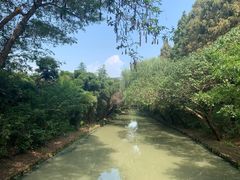 -同里国家湿地公园