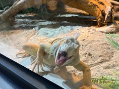 -必胜客(长沙天健城店)