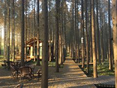 -黄海国家森林公园