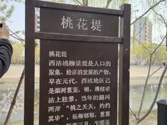 -桃花堤公园