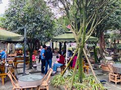 -青城甲(青城山店)