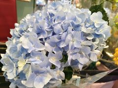 -盒马鲜生(红莲店)