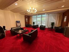 -郑州新郑国际机场T2航站楼-贵宾厅B区