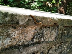 -碓臼峪自然风景区