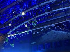 -西西里轰趴日租聚会别墅·团建拓展