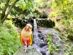 -宁波市保国寺古建筑博物馆