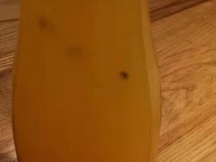 -九毛九西北菜(大东海店)