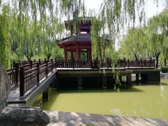 -西安市长乐公园