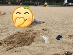 -大兴滨河森林公园