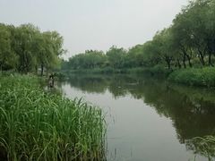-新江湾城公园