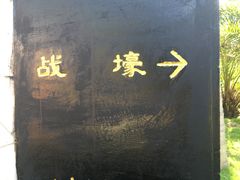 -临高角