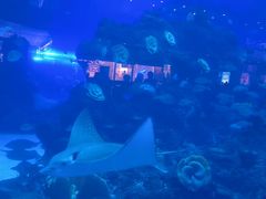 -成都浩海立方海洋公园