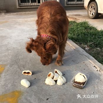 这几天吃了俺32个胶东大包子