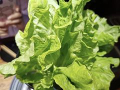 生菜-九田家黑牛烤肉料理(二天地店)