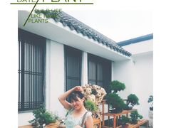 -稍可轩博物馆餐厅
