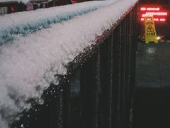 -上海动物园(地铁站)