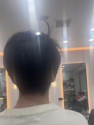 -YESIDO椰岛造型