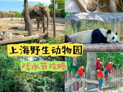 -上海野生动物园